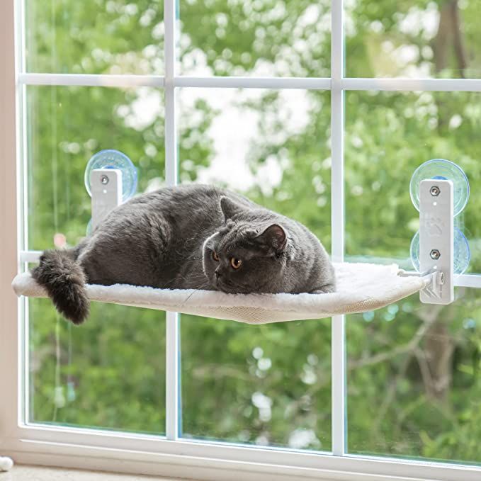 Window Mounted Cat Hammock